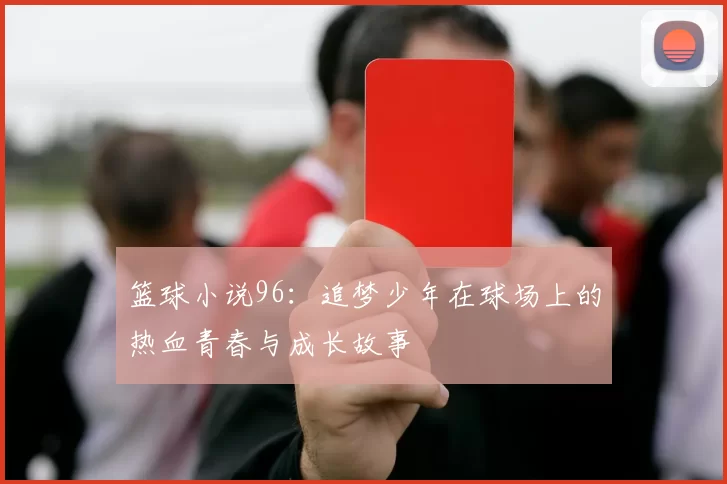 篮球小说96：追梦少年在球场上的热血青春与成长故事
