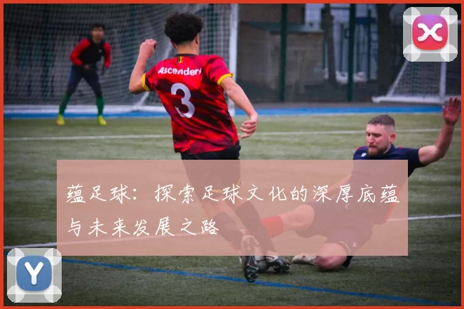 蕴足球：探索足球文化的深厚底蕴与未来发展之路